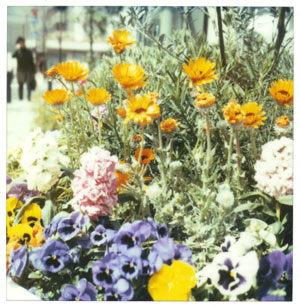 20060331.jpg