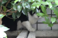 20060621_3.jpg