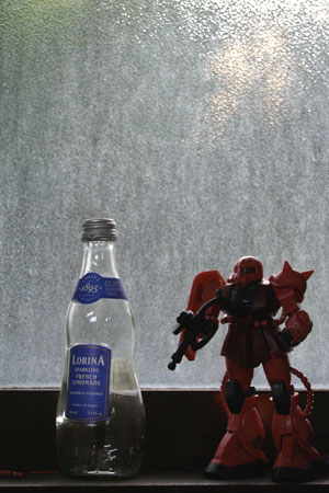 20060624_4.jpg