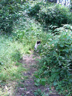 20070514.jpg