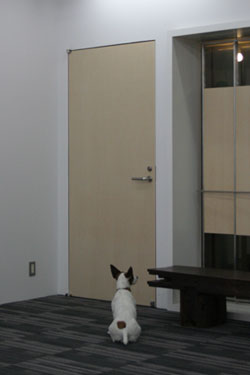 20080526_2.jpg