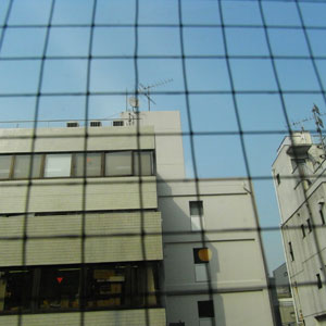 20080611_3.jpg
