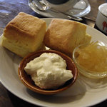 20081111c.jpg