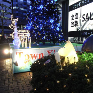 20081130b.jpg