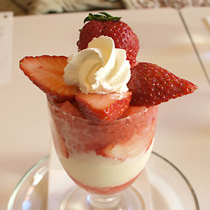 20090120_ichigo.jpg