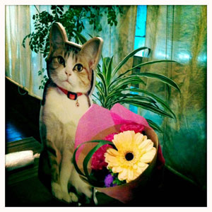 20110427.jpg