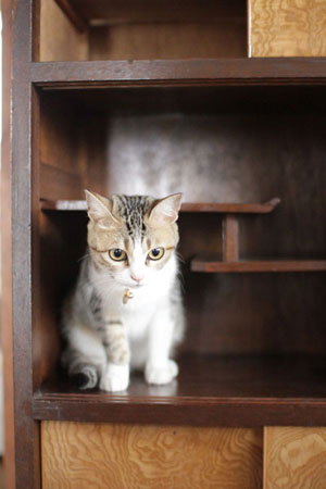 20110611b.jpg