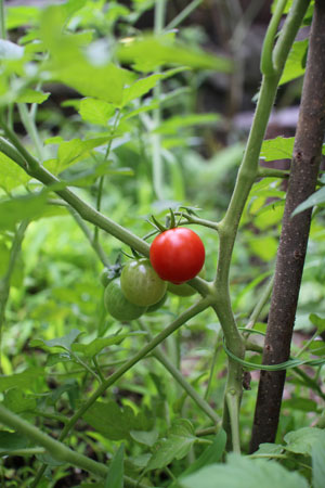 20110701.jpg