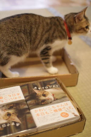 20110826.jpg