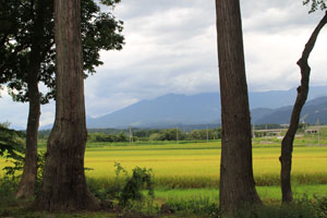 20110904-1.jpg